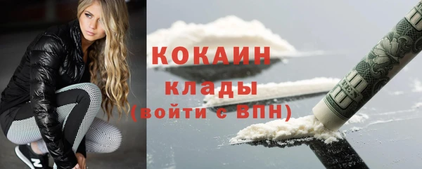 прущие грибы Сафоново