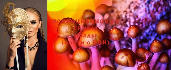 стафф Алексеевка