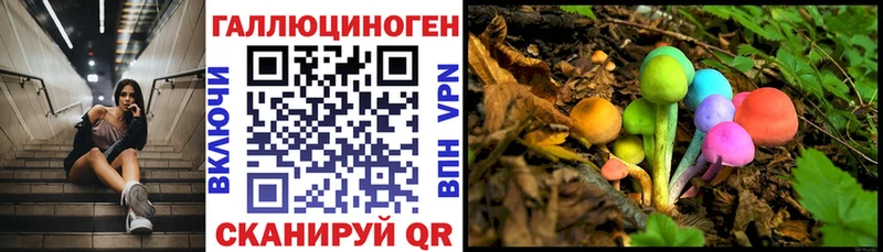 Галлюциногенные грибы мицелий  гидра сайт  Гусь-Хрустальный 